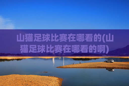 山猫足球比赛在哪看的(山猫足球比赛在哪看的啊)