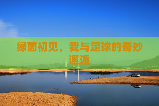 绿茵初见,我与足球的奇妙邂逅