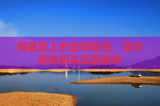 绿茵场上的金榜题名,高中足球招生深度解析