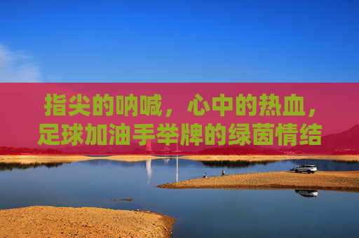 指尖的呐喊,心中的热血,足球加油手举牌的绿茵情结