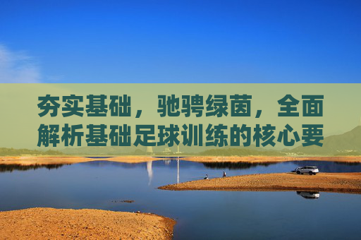 夯实基础,驰骋绿茵,全面解析基础足球训练的核心要素