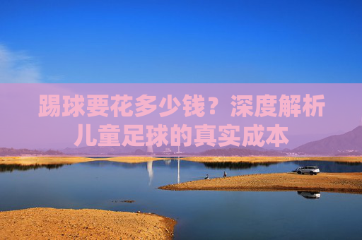 踢球要花多少钱?深度解析儿童足球的真实成本