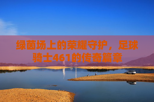 绿茵场上的荣耀守护,足球骑士461的传奇篇章