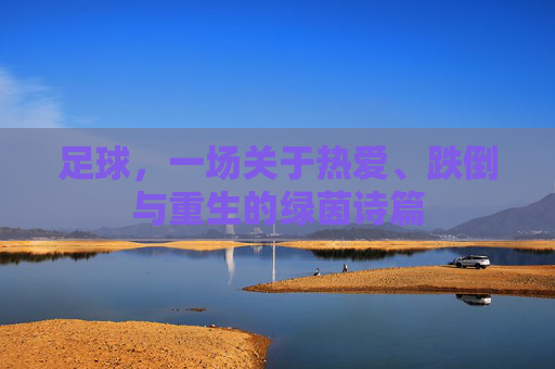 足球，一场关于热爱、跌倒与重生的绿茵诗篇