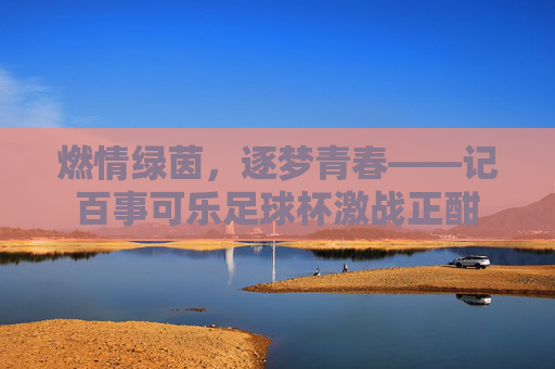 燃情绿茵，逐梦青春——记百事可乐足球杯激战正酣