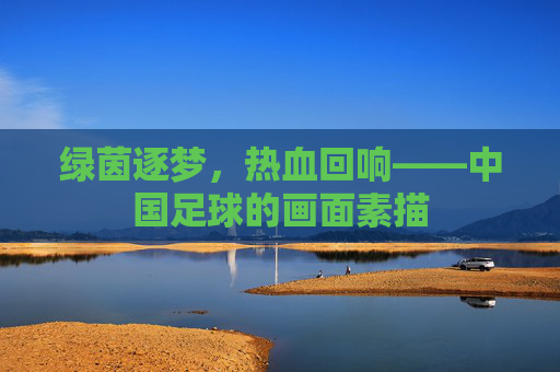 绿茵逐梦,热血回响——中国足球的画面素描