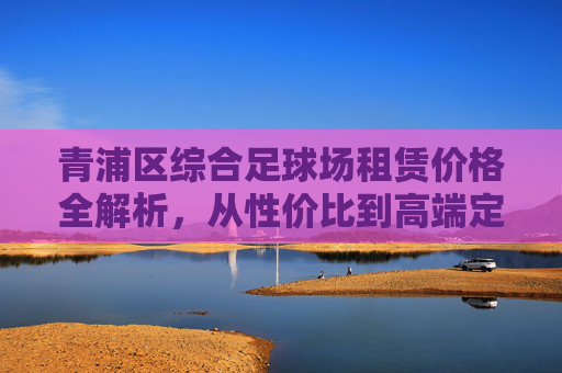青浦区综合足球场租赁价格全解析,从性价比到高端定制