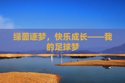 绿茵逐梦,快乐成长——我的足球梦