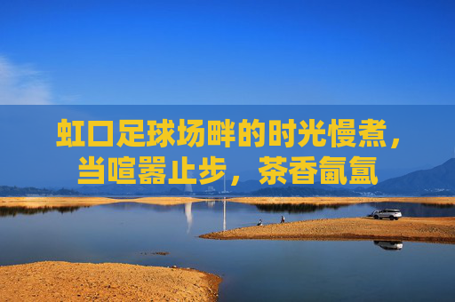 虹口足球场畔的时光慢煮,当喧嚣止步,茶香氤氲