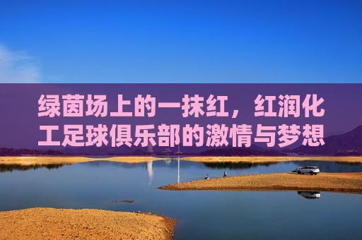 绿茵场上的一抹红，红润化工足球俱乐部的激情与梦想