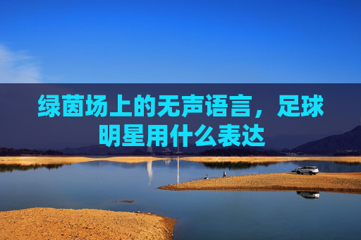 绿茵场上的无声语言,足球明星用什么表达
