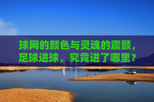 球网的颜色与灵魂的震颤,足球进球,究竟进了哪里?