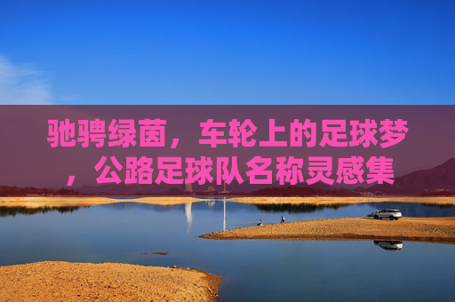 驰骋绿茵,车轮上的足球梦,公路足球队名称灵感集