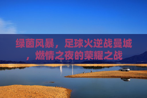 绿茵风暴,足球火逆战曼城,燃情之夜的荣耀之战