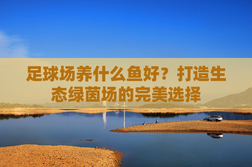 足球场养什么鱼好?打造生态绿茵场的完美选择