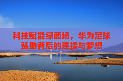 科技赋能绿茵场,华为足球赞助背后的连接与梦想