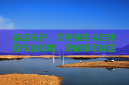 深度解析,交易猫实况足球操作全攻略,助你球场称王