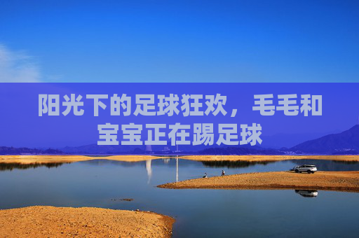阳光下的足球狂欢，毛毛和宝宝正在踢足球