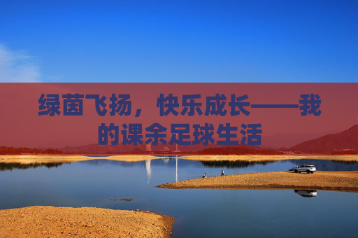 绿茵飞扬，快乐成长——我的课余足球生活