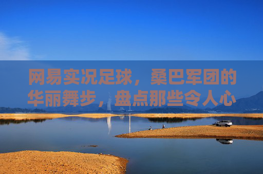 网易实况足球,桑巴军团的华丽舞步,盘点那些令人心动的巴西球星