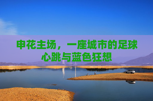 申花主场，一座城市的足球心跳与蓝色狂想