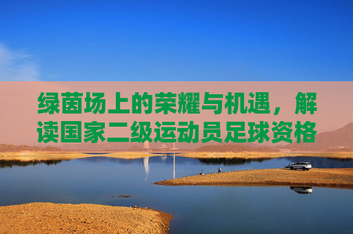绿茵场上的荣耀与机遇，解读国家二级运动员足球资格