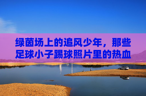 绿茵场上的追风少年，那些足球小子踢球照片里的热血与梦想