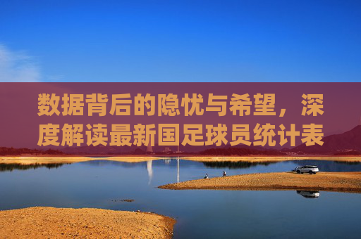 数据背后的隐忧与希望，深度解读最新国足球员统计表