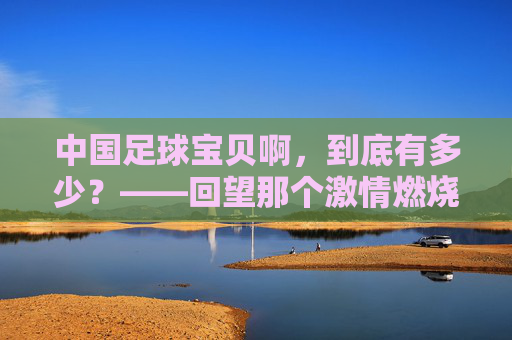 中国足球宝贝啊,到底有多少?——回望那个激情燃烧的黄金时代