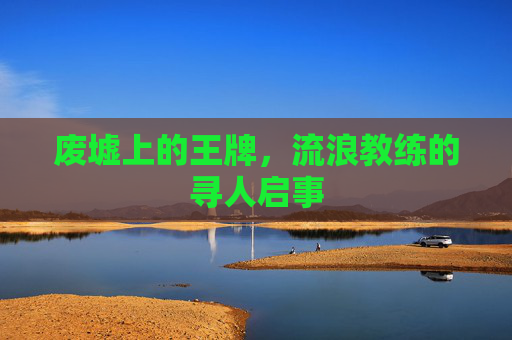 废墟上的王牌,流浪教练的寻人启事
