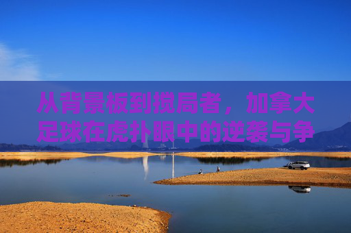 从背景板到搅局者,加拿大足球在虎扑眼中的逆袭与争议