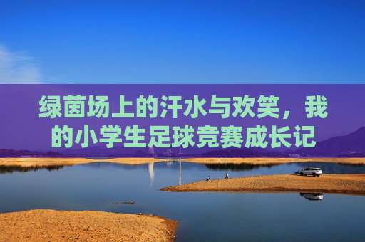 绿茵场上的汗水与欢笑，我的小学生足球竞赛成长记