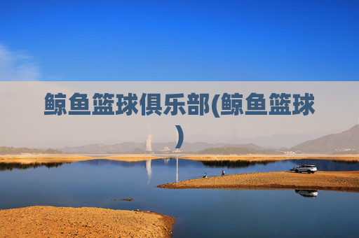 鲸鱼篮球俱乐部(鲸鱼篮球)