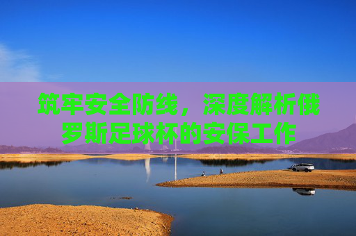 筑牢安全防线,深度解析俄罗斯足球杯的安保工作