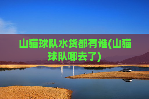 山猫球队水货都有谁(山猫球队哪去了)