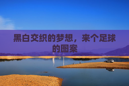 黑白交织的梦想,来个足球的图案