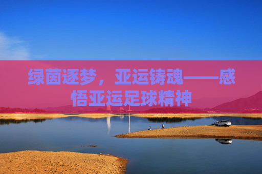 绿茵逐梦,亚运铸魂——感悟亚运足球精神