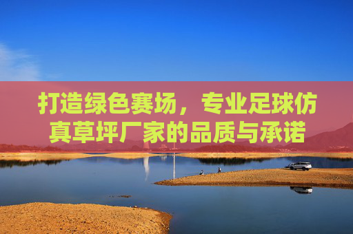 打造绿色赛场,专业足球仿真草坪厂家的品质与承诺