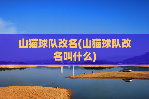 山猫球队改名(山猫球队改名叫什么)