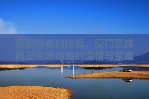 绿茵传奇的终章,豪门足球风云生涯结局的温情与荣耀