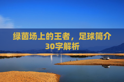 绿茵场上的王者，足球简介30字解析