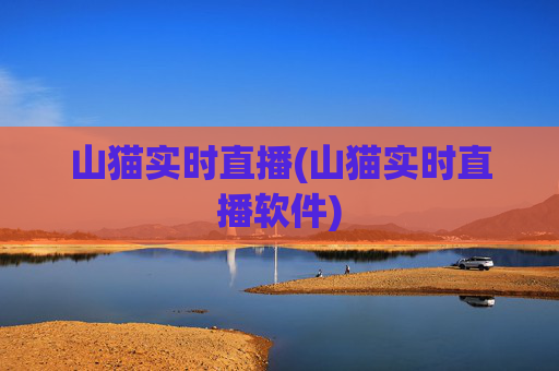 山猫实时直播(山猫实时直播软件)