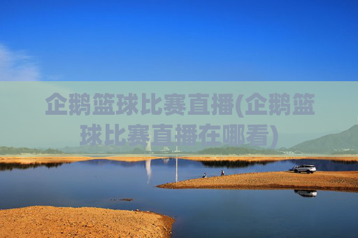 企鹅篮球比赛直播(企鹅篮球比赛直播在哪看)