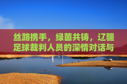丝路携手，绿茵共铸，辽疆足球裁判人员的深情对话与专业共进