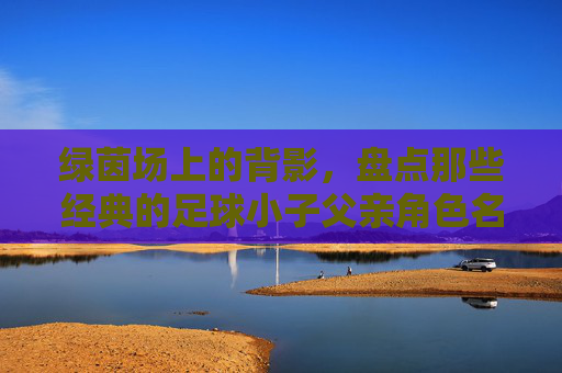 绿茵场上的背影,盘点那些经典的足球小子父亲角色名字