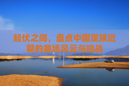 起伏之间,盘点中国足球近期的赛场风云与挑战