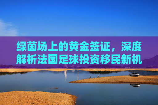 绿茵场上的黄金签证，深度解析法国足球投资移民新机遇