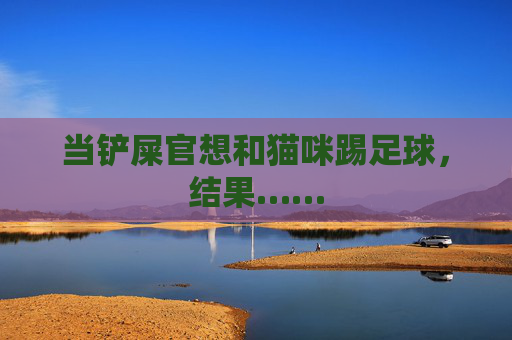 当铲屎官想和猫咪踢足球,结果……