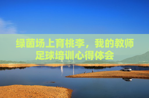 绿茵场上育桃李，我的教师足球培训心得体会