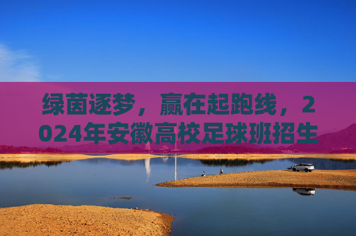 绿茵逐梦,赢在起跑线,2024年安徽高校足球班招生全攻略